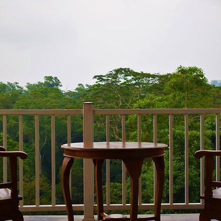 Bee View Home Stay Kandy Eksteriør billede
