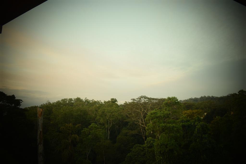 Bee View Home Stay Kandy Eksteriør billede